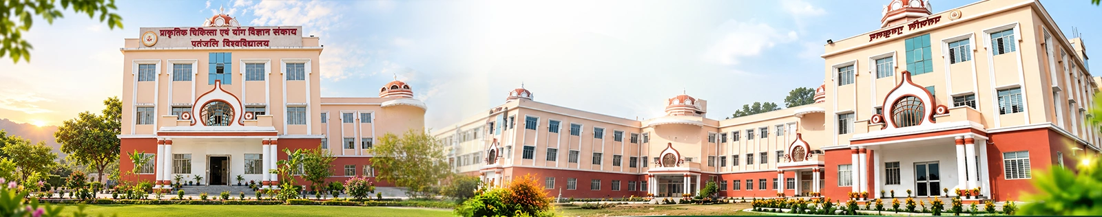 Introduction Banner